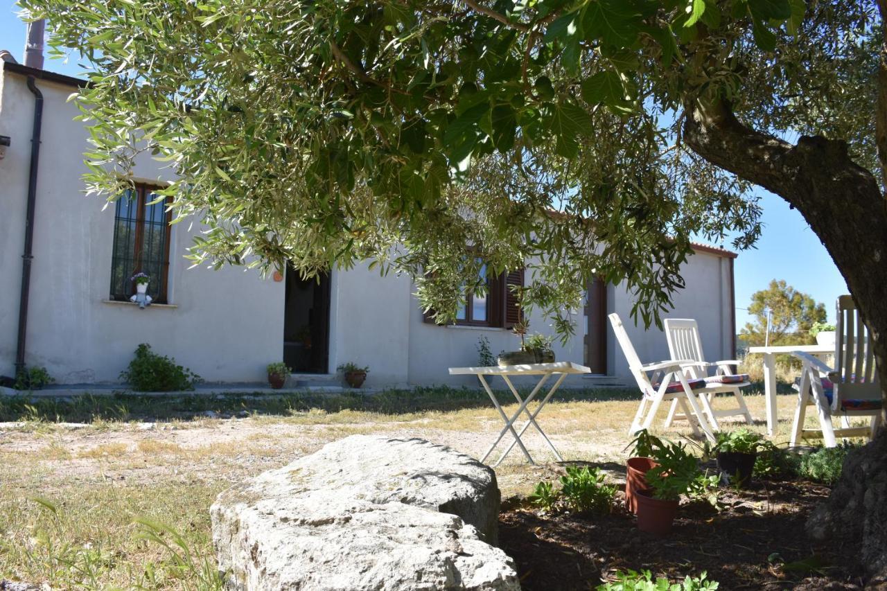 Su Cuile Historical Country House With Barbecue Martis Exteriör bild