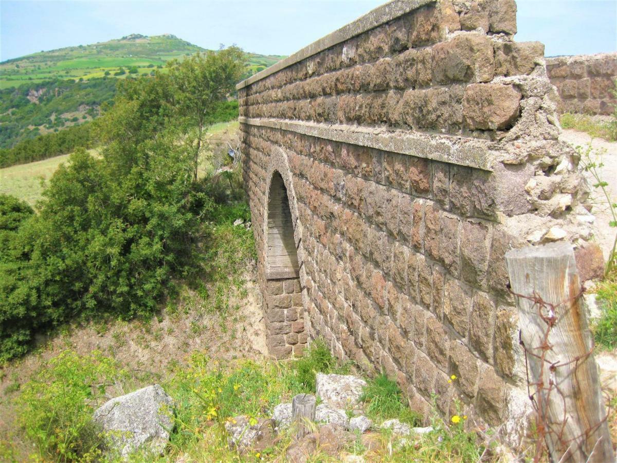Su Cuile Historical Country House With Barbecue Martis Exteriör bild